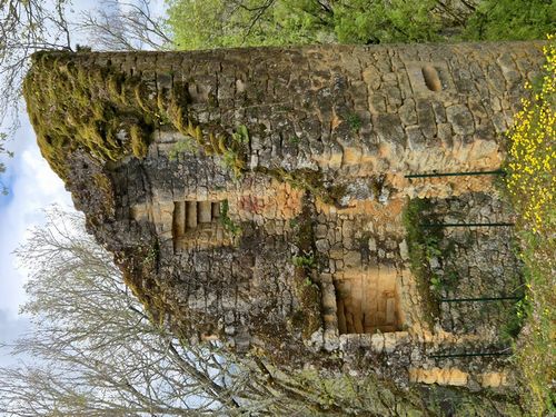 Domme ASBDR, Association pour la Sauvegarde de la Bastide de Domme et de ses Remparts, bienvenue sur le site de l'ASBDR, Association pour la Sauvegarde de la Bastide de Domme et de ses Remparts qui sauvegarde et protège le patrimoine historique dommois, notamment le château du Roy